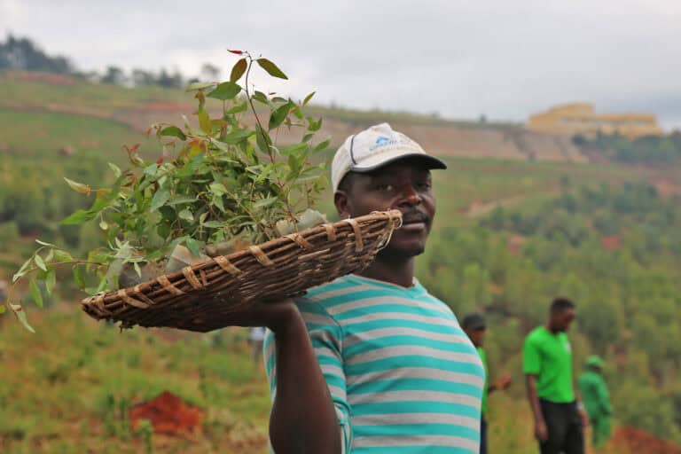 Forest Apocalypse: Why 2025’s Deforestation Crisis Threatens Human Civilization