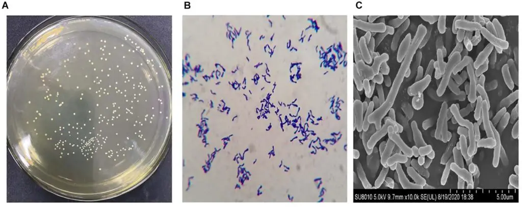 14 Scientific Studies So Recent They Haven’t Even Hit Textbooks Yet
