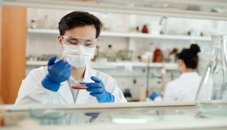 Northwestern Scientists Find the ‘Off Switch’ for Lupus Hidden in Human DNA