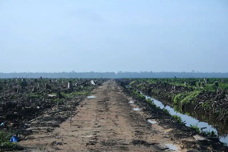 15 Imminent Threats to Biodiversity That Researchers Are Actively Addressing
