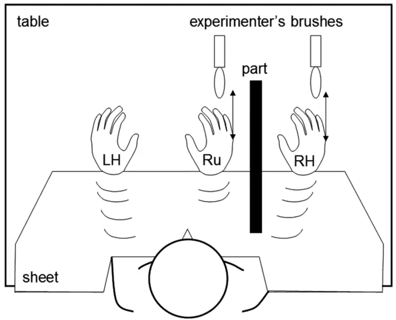 15 Science Tricks Your Brain Falls For Every Day (And Why They Work)