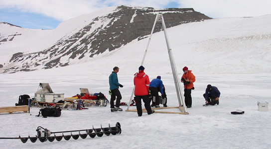 Antarctica Is Growing New Forests—But It’s Not Good News
