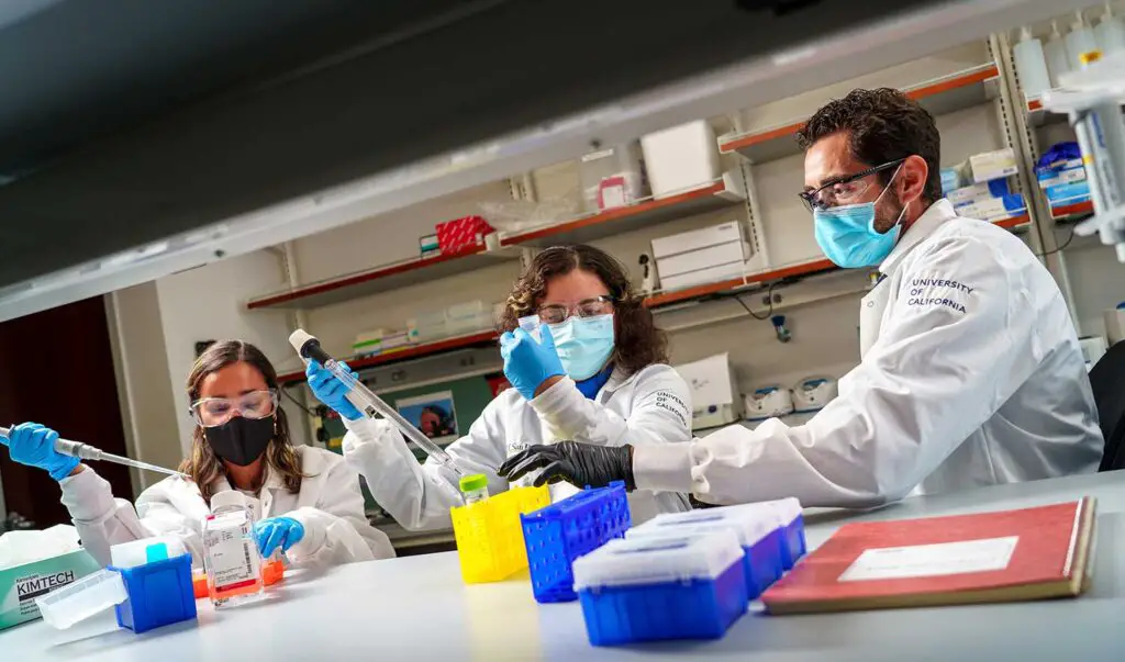 The Protein That Lets Memories Last Forever – KIBRA’s Role in Long-Term Memory