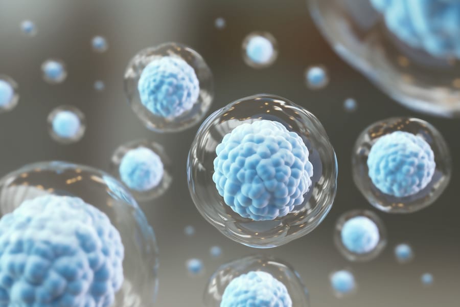 Giant Panda Stem Cells Could Save Endangered Species – Lab-Grown Conservation