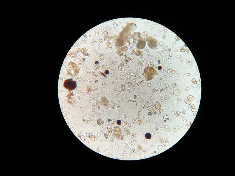 15 Experiments Bringing Us Closer to Creating Life From Scratch