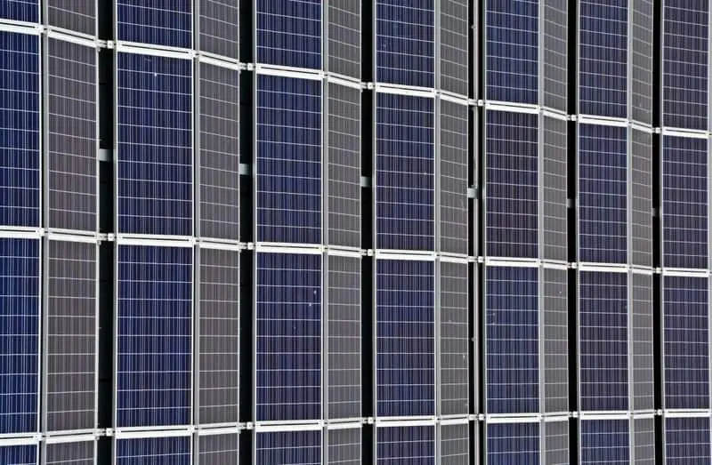 15 Crucial Elements That Made Life on Earth Possible