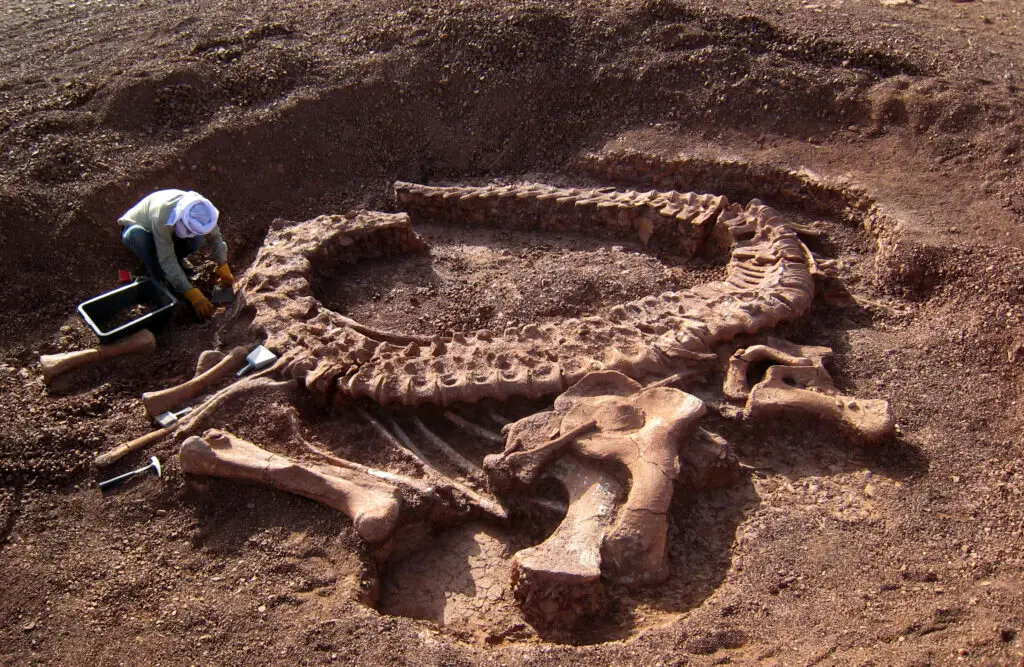 Massive Extinct Salamander With Vice-Like Jaws Found in Tennessee Fossil