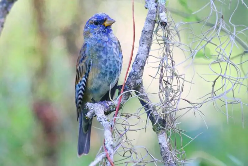 28 Animals With Built-In GPS That Puts Your Phone to Shame