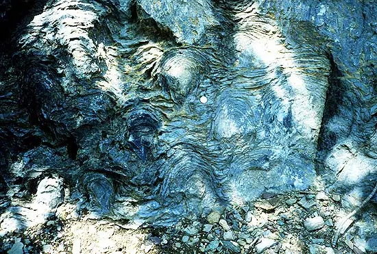 15 Steps from Non-Living to Living: How Life May Have Evolved
