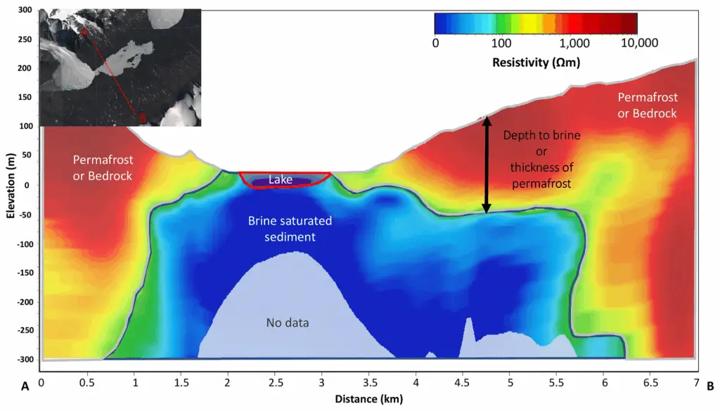 Breaking Ice: Revolutionary Discoveries Reveal Antarctica’s Hidden Biological Treasures