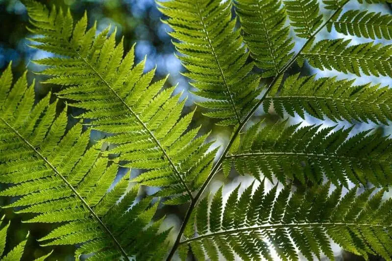 Scientists Say We May Have Been Wrong About the Origin of Life