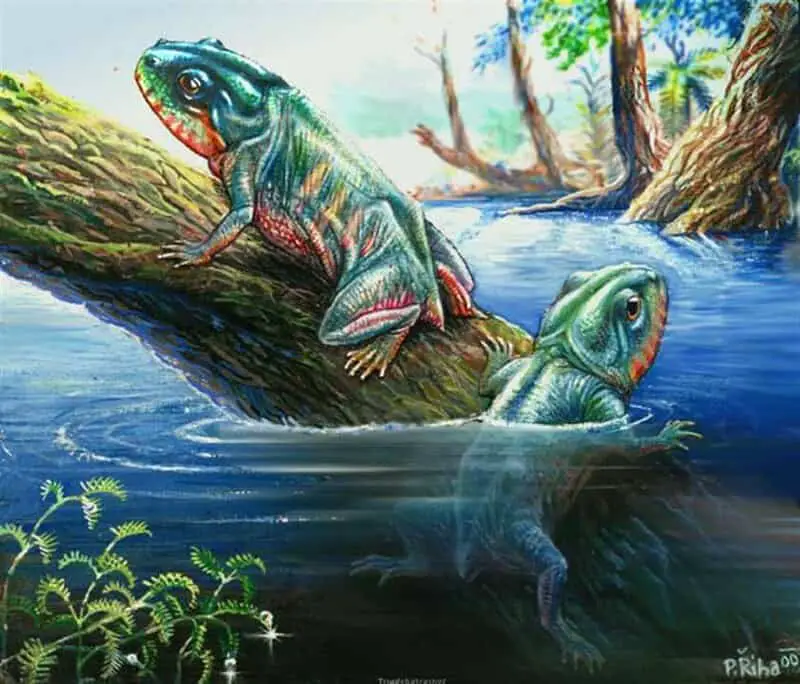15 Evolutionary Milestones That Took Us From Goo to You