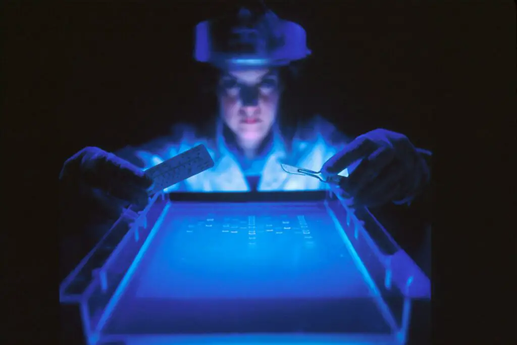 The Greatest Medical Theft in History: How One Woman’s Cancer Became Humanity’s Cure
