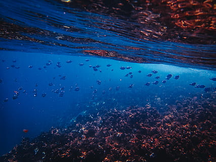 Japan’s Underwater Mystery: Is the 10,000-Year-Old Yonaguni Monument Nature or Ancient Architecture?