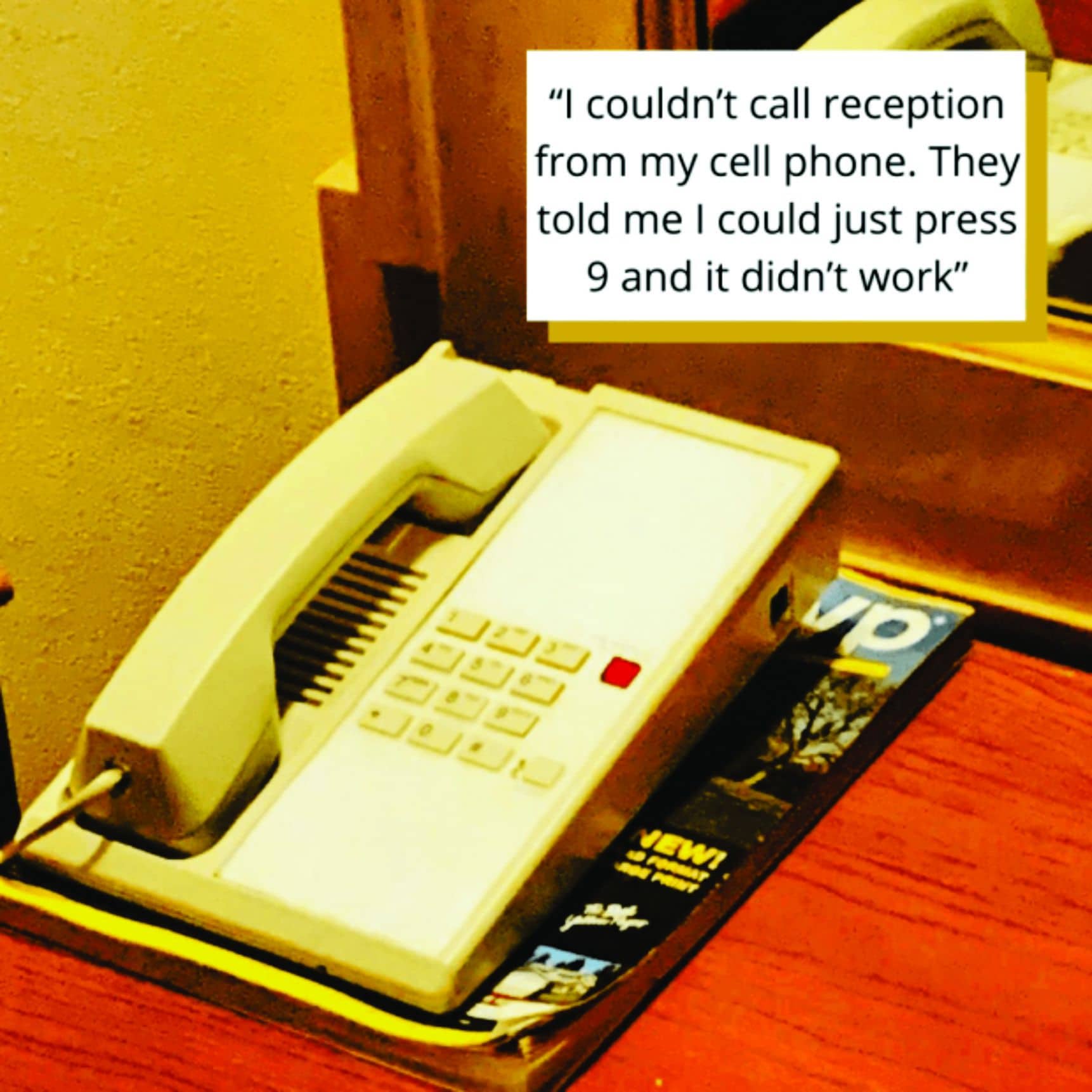 Uncovering the World’s Most Ridiculously Petty Reviews!