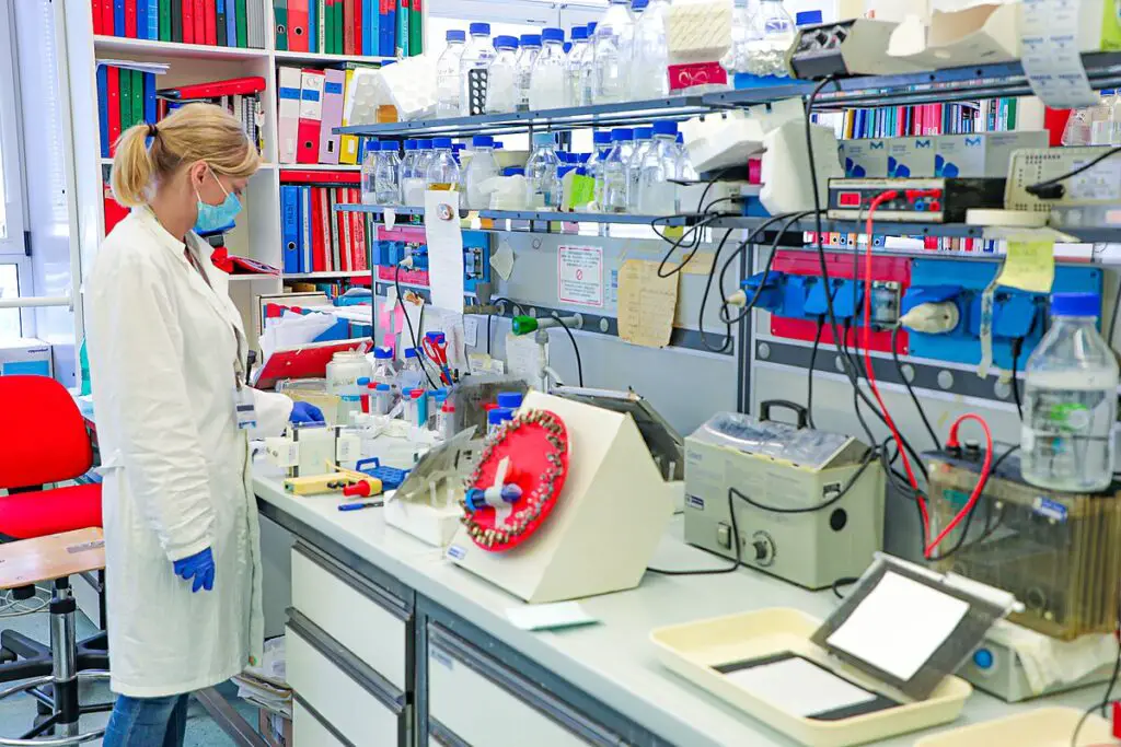 The Bacteria That Eat Plastic Waste Are Evolving Faster Than Expected