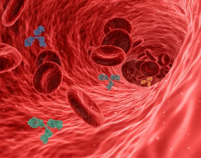 15 Recent Studies That Could Lead to Cures in the Next Decade