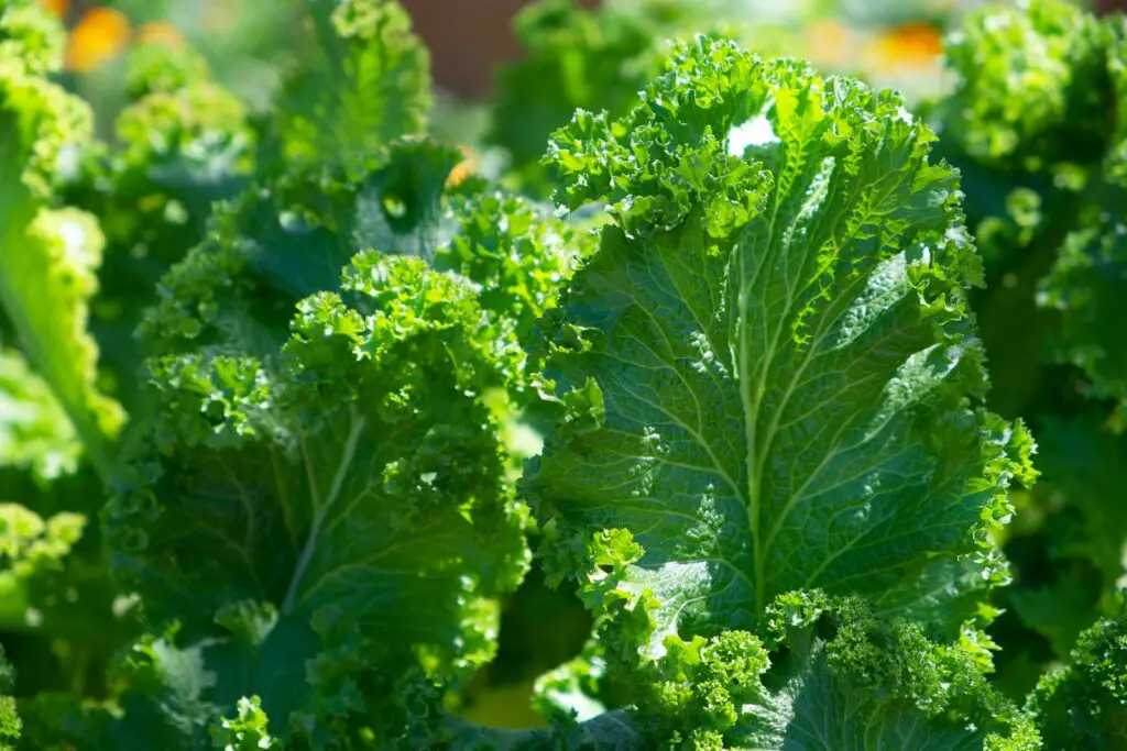 I’m an ER Doctor—These 24 ‘Healthy’ Foods Are Sending My Patients to the Hospital