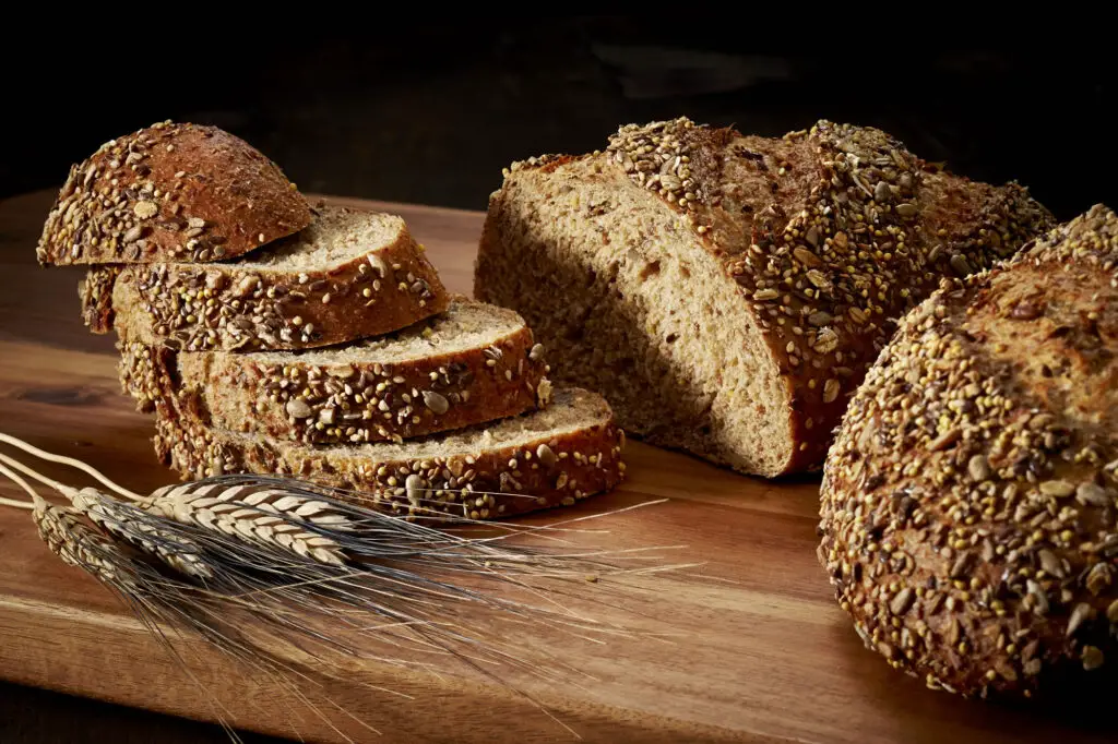 Archaeologists Discover 14,000-Year-Old Bread Remains That Predate Agriculture