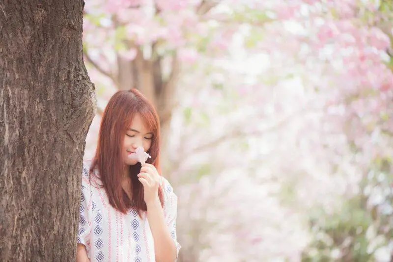 Why Your Sense of Smell Is the Early Warning System for Your Brain