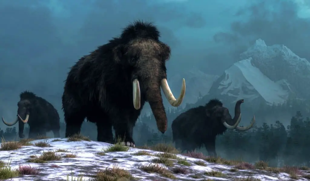 Should We Bring Back Extinct Species? What Science and Ethics Say