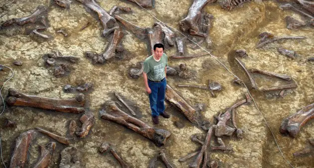The 289-Million-Year-Old Skin That Rewrites Evolution History