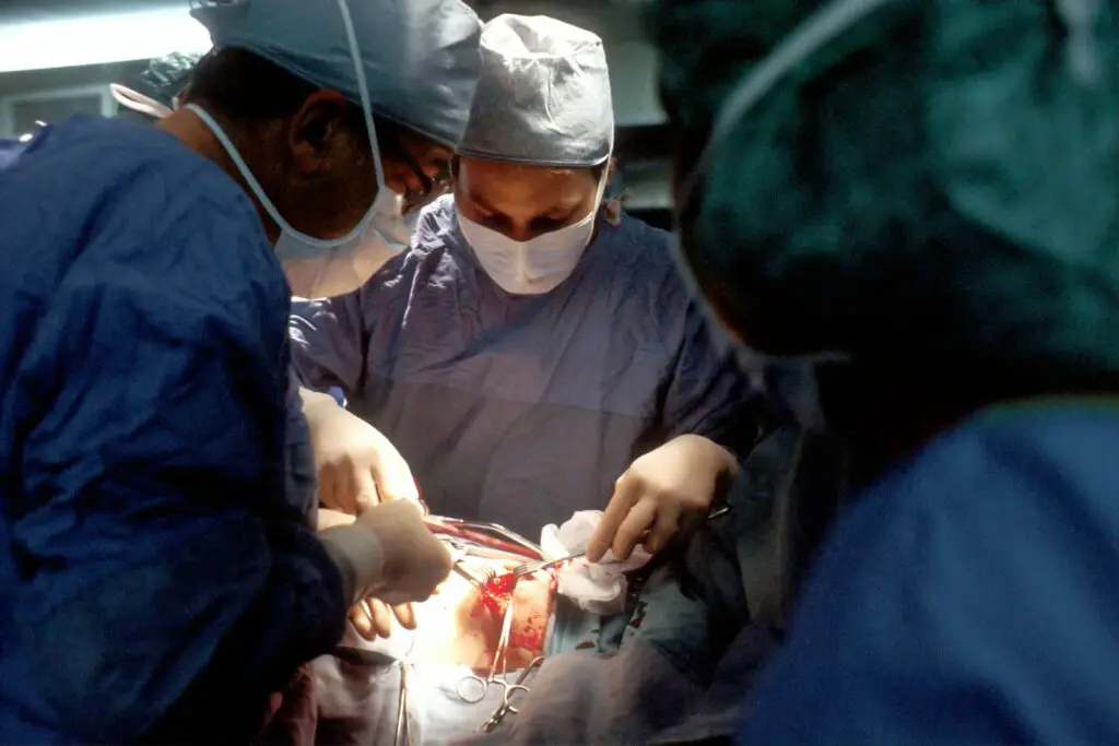The Resurrection Machine: Scientists Who Bring the Dead Back to Life