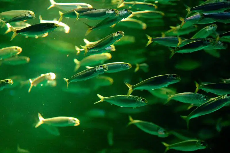 15 Real Scientific Studies You Won’t Believe Got Funded