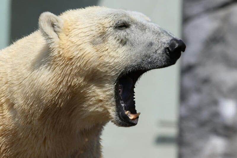 15 Weird Things Your Brain Does That Actually Make Sense