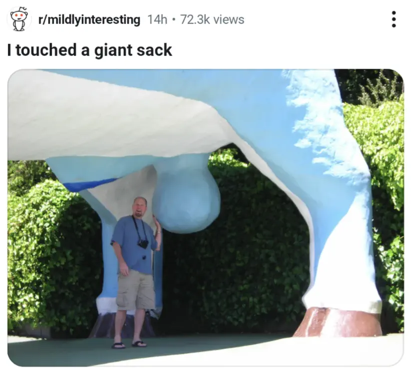 Can You Pick Your Favorite 15 Units? đ 28 Absolute Units of a ball sack