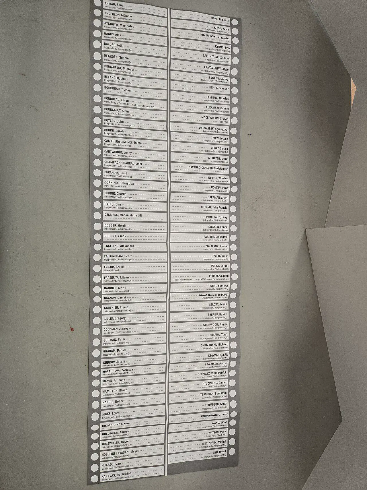 18 Insane Absolute Units That Will Blow Your Mind! đđŸ 24 Absolute Units of a Ballot Paper in the Canadian Election