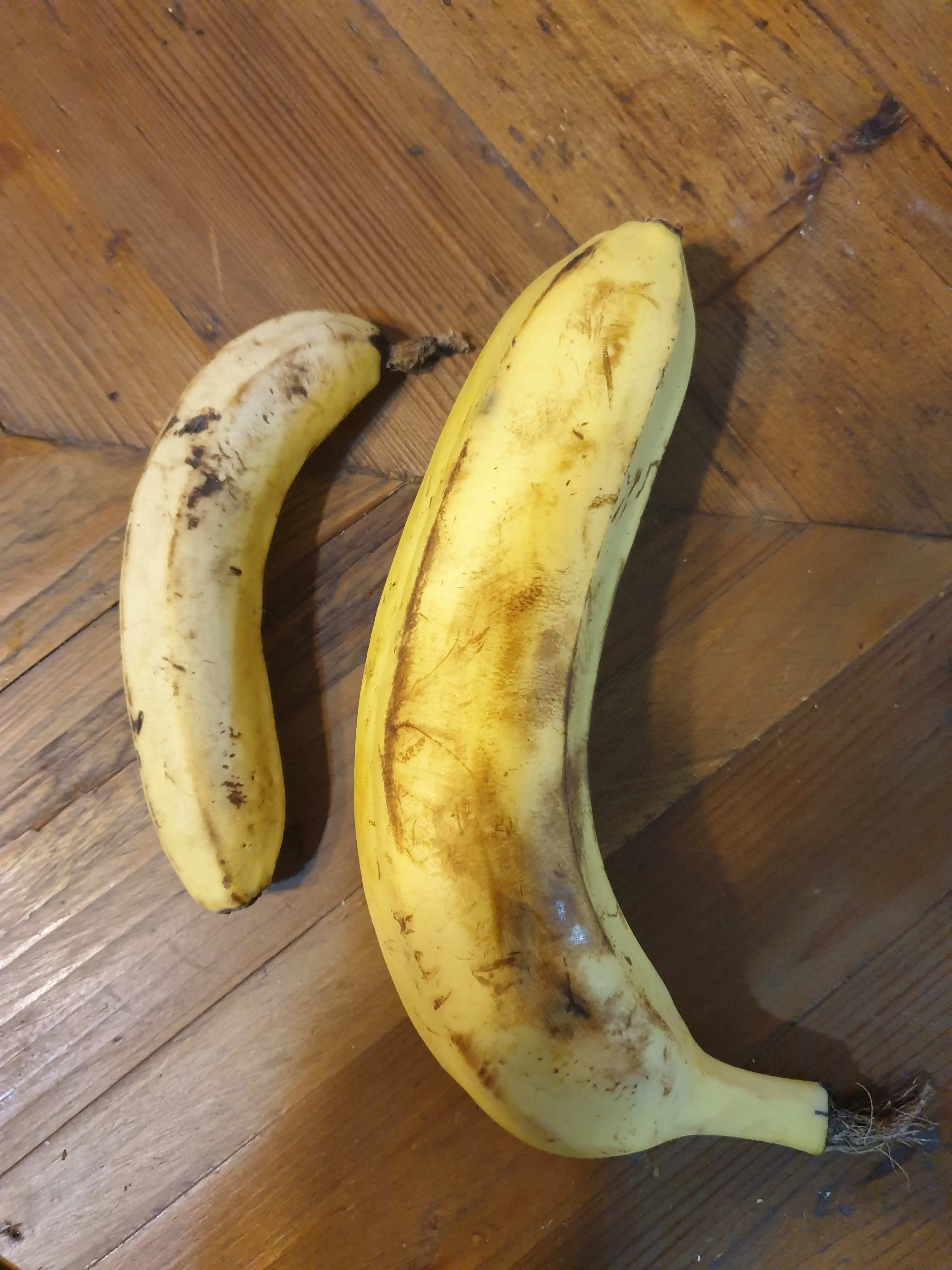 13 Giant Wonders That You Have to Witness! đ⥠20 Absolute Units of a banana (banana for scale)