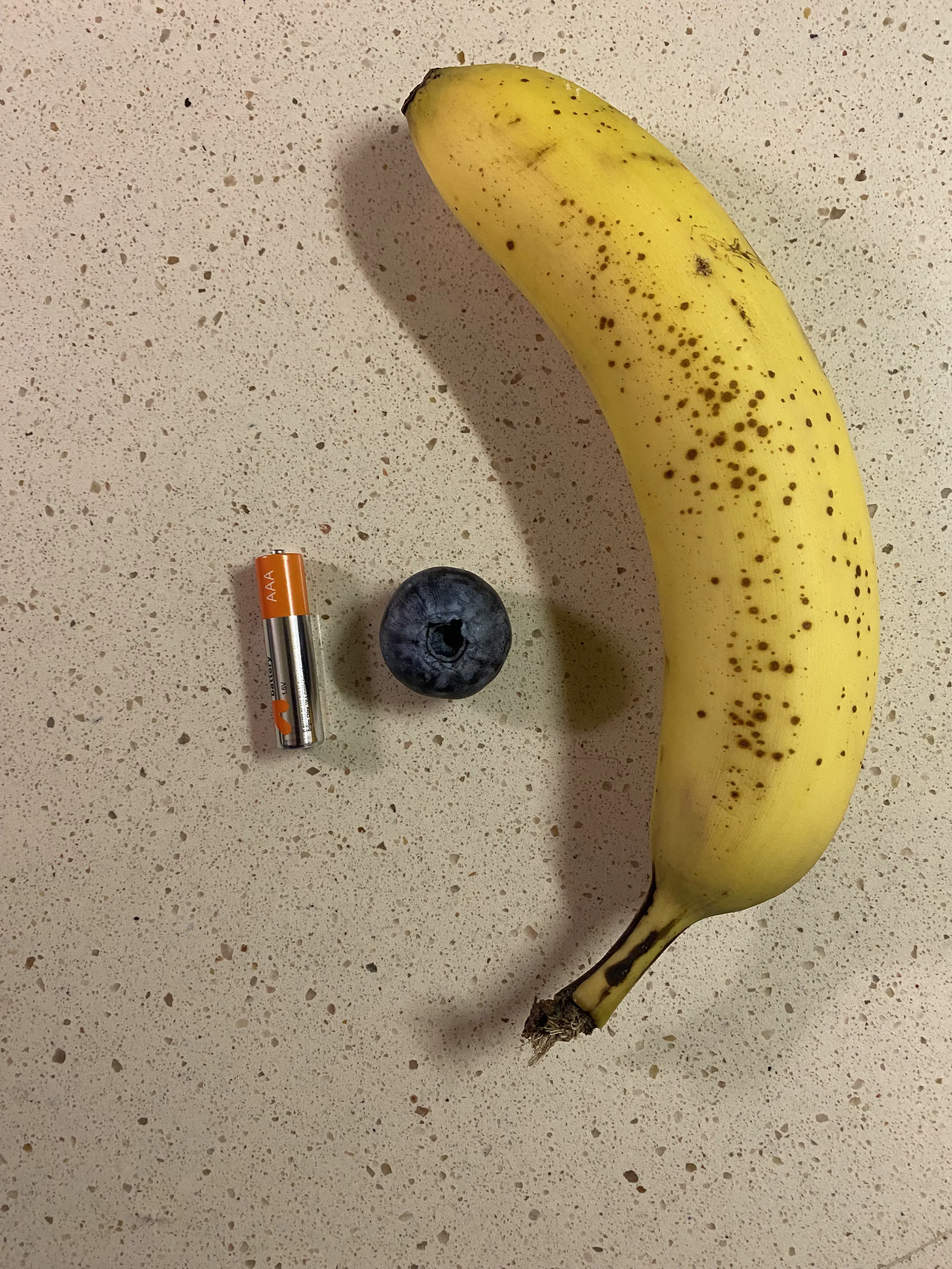 17 Unbelievably Massive Oddities You Must See! đđ 31 Absolute Units of a blueberry