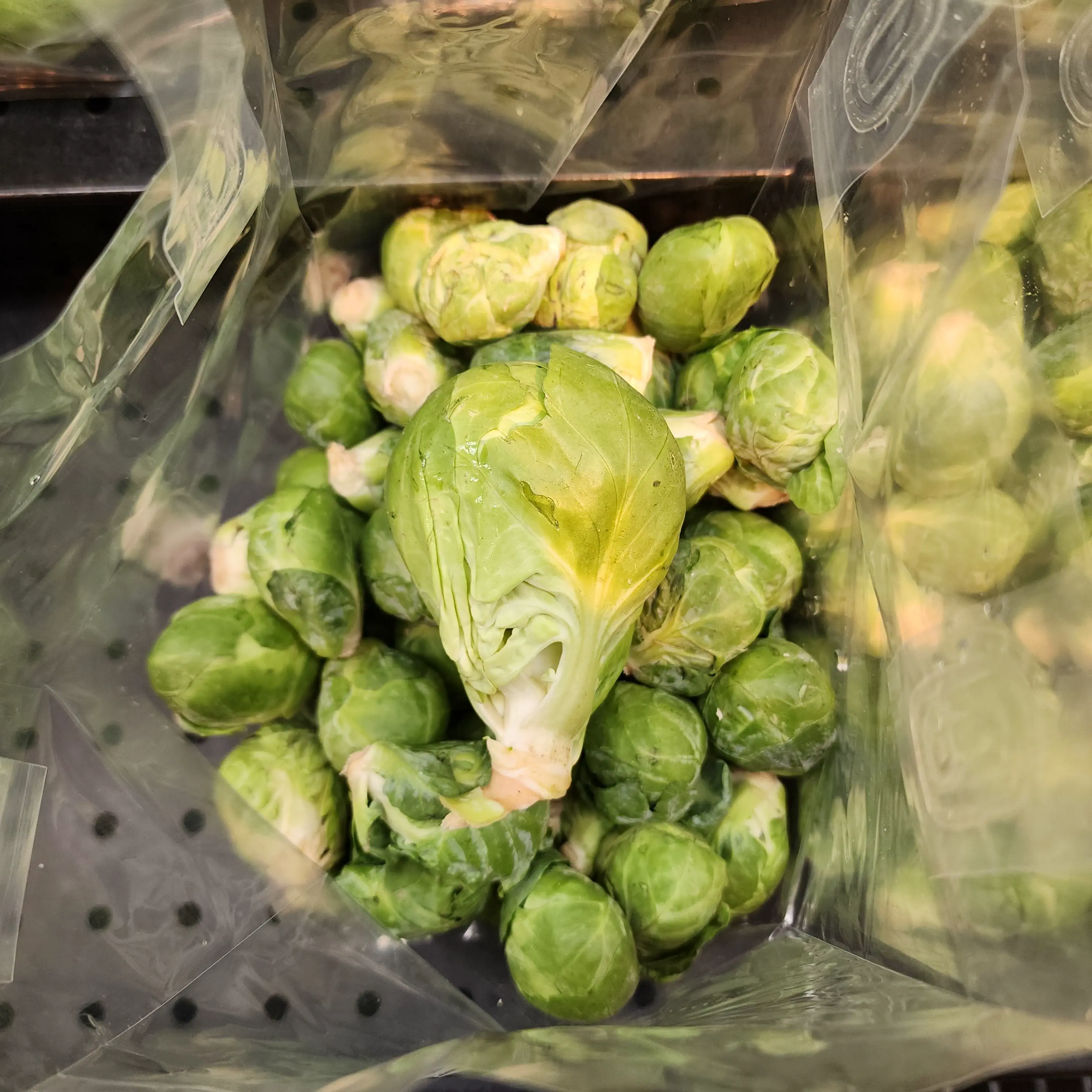 22 Massive Beasts That Will Leave You Stunned! đđ„ 44 Absolute Units of a brussel sprout