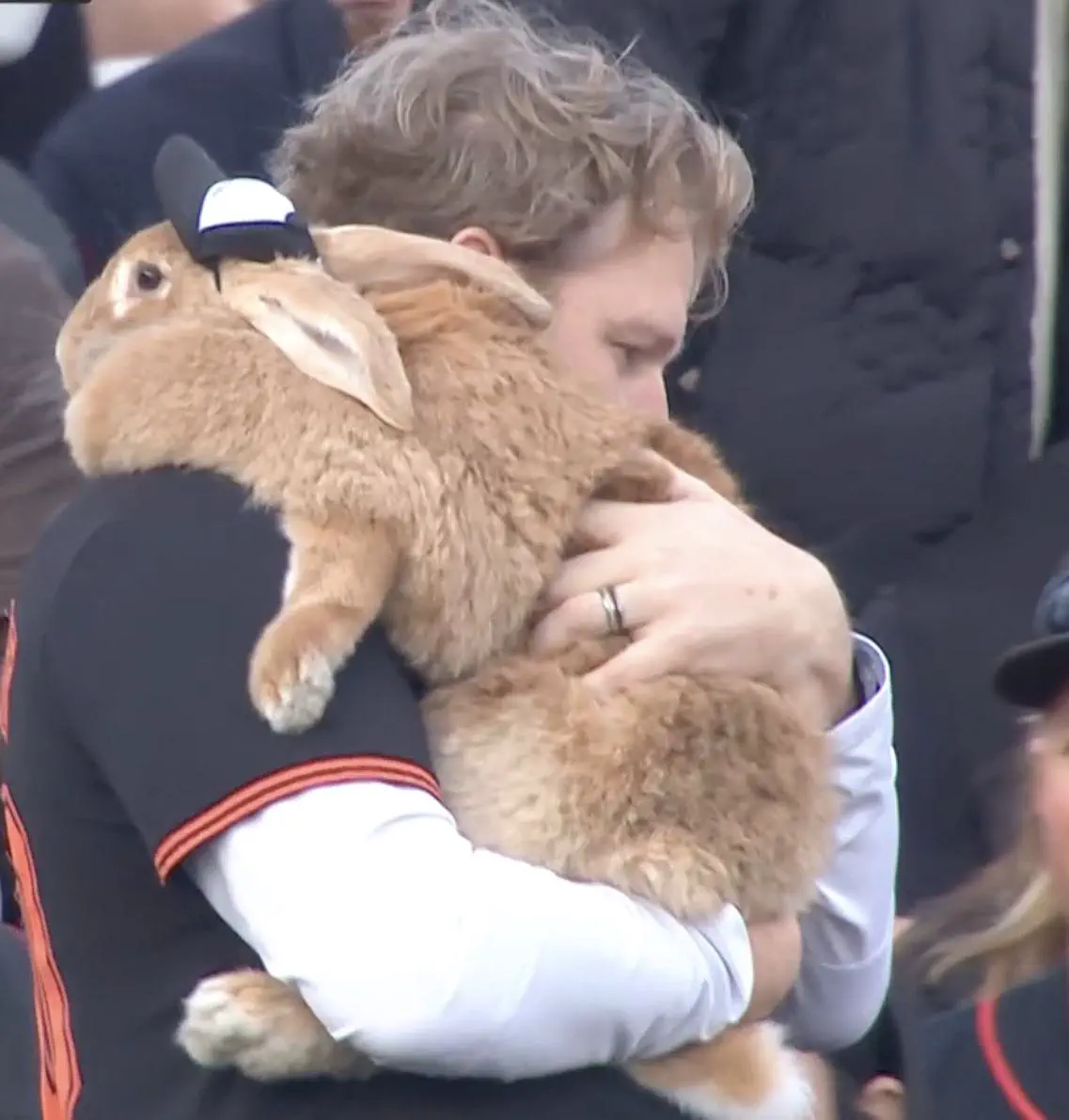 16 Unbelievable Behemoths You Need to See Right Now! đđ„ 19 Absolute Units of a bunny