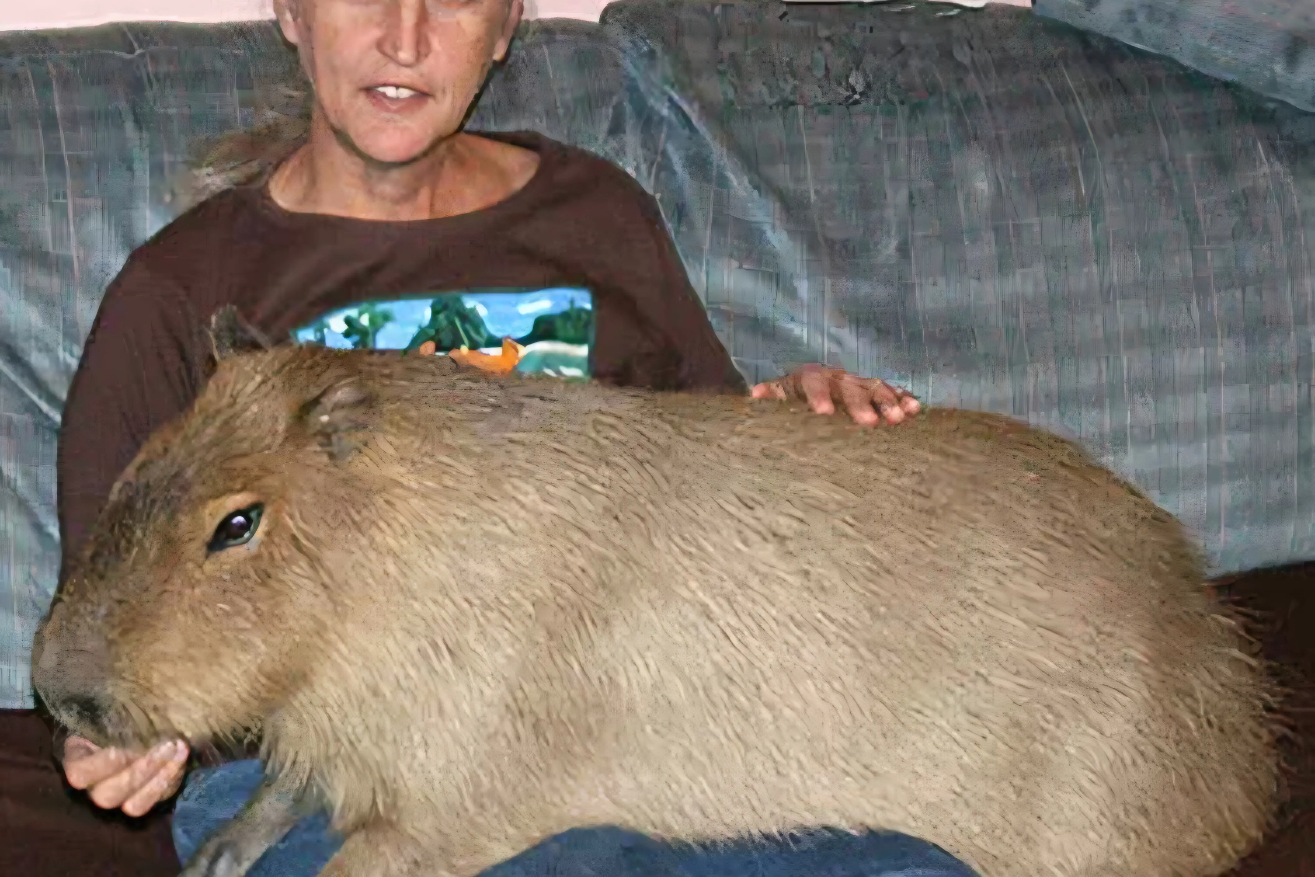 16 Mammoth Oddities You Need to See Now! đđŸ 31 Absolute Units of a Capybara