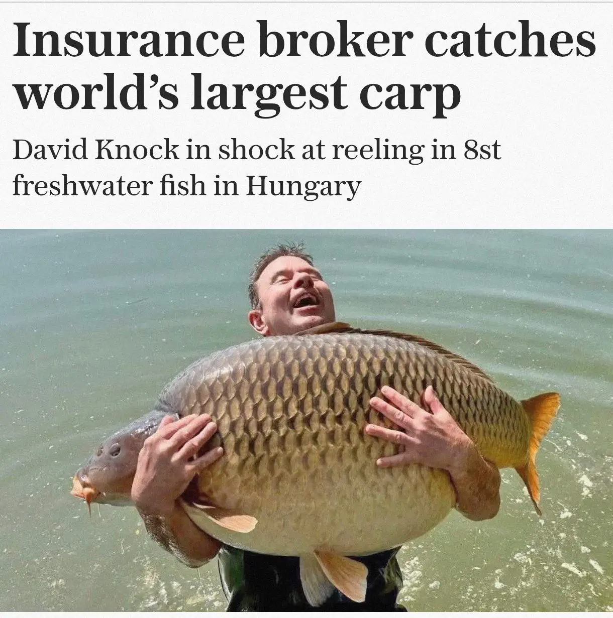 18 Mind-Blowing Absolute Units You Must See! đđ 20 Absolute Units of a carp