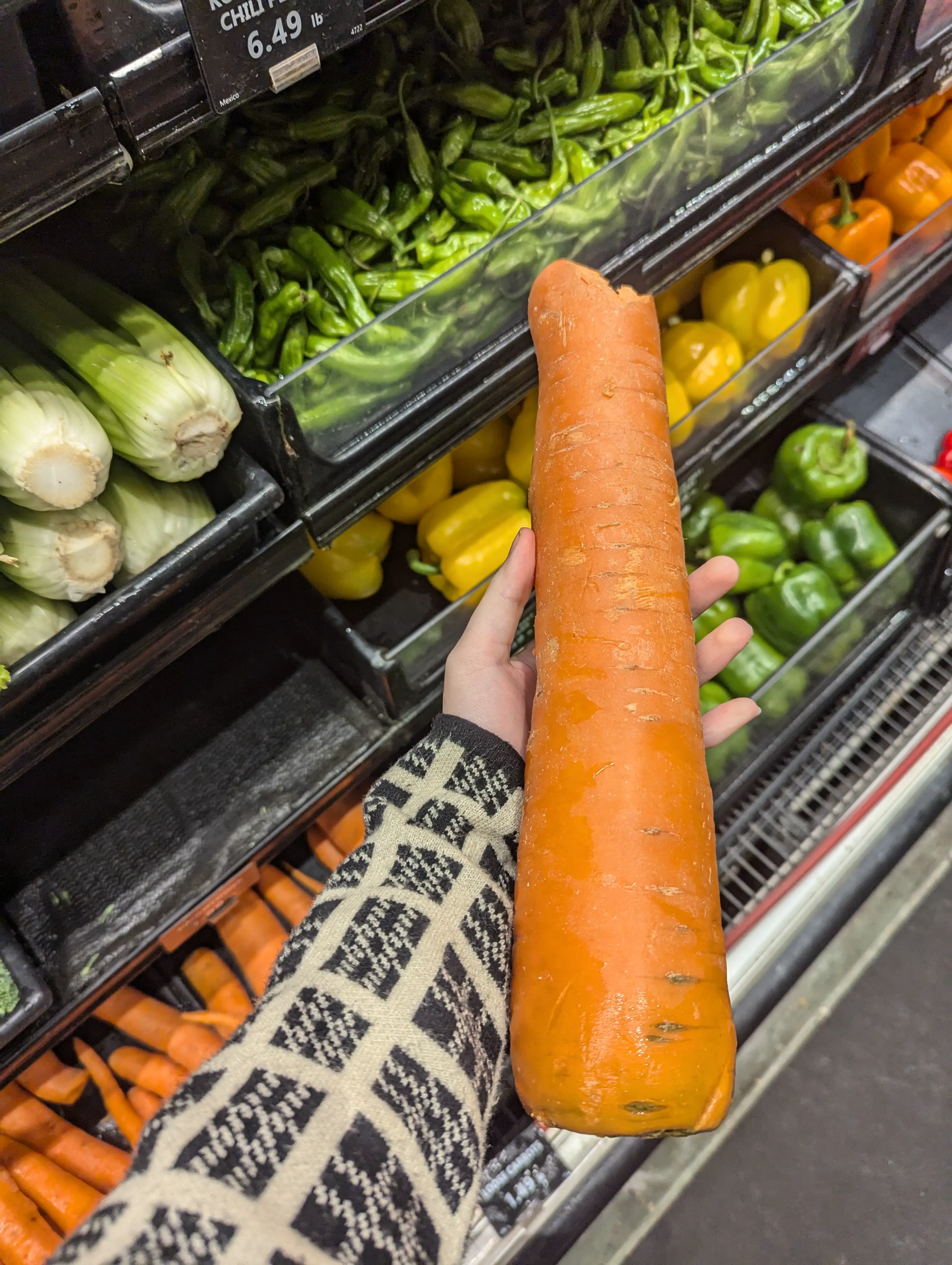 18 Chonky Legends That’ll Make You Gasp 🔥 34 Absolute Units of a carrot