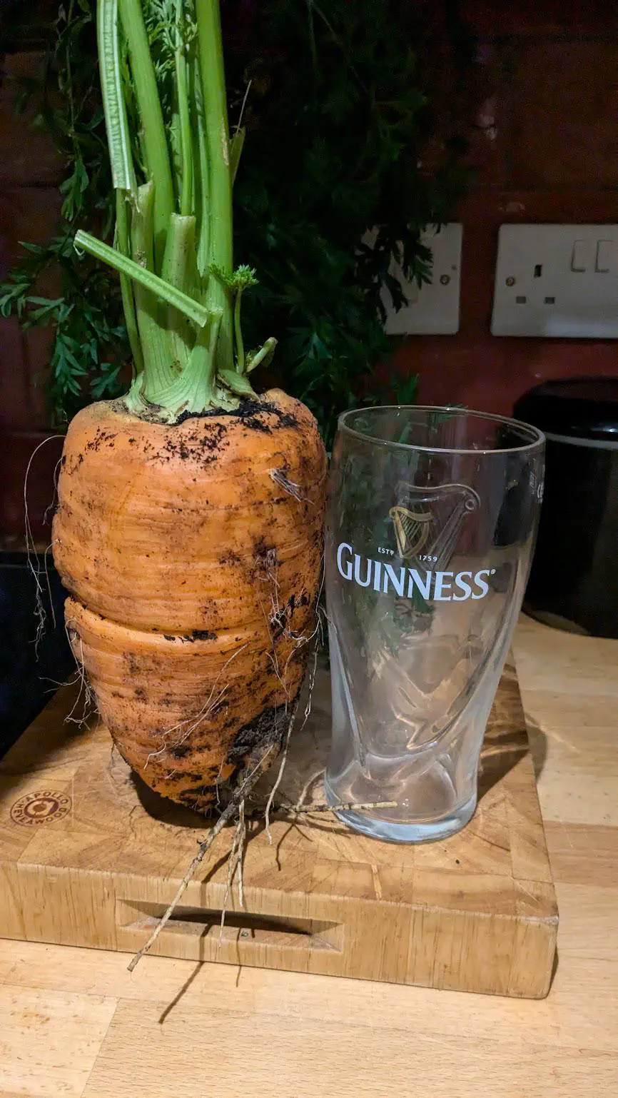 18 Chonky Legends That’ll Make You Gasp 🔥 32 Absolute Units of a carrot 🥕