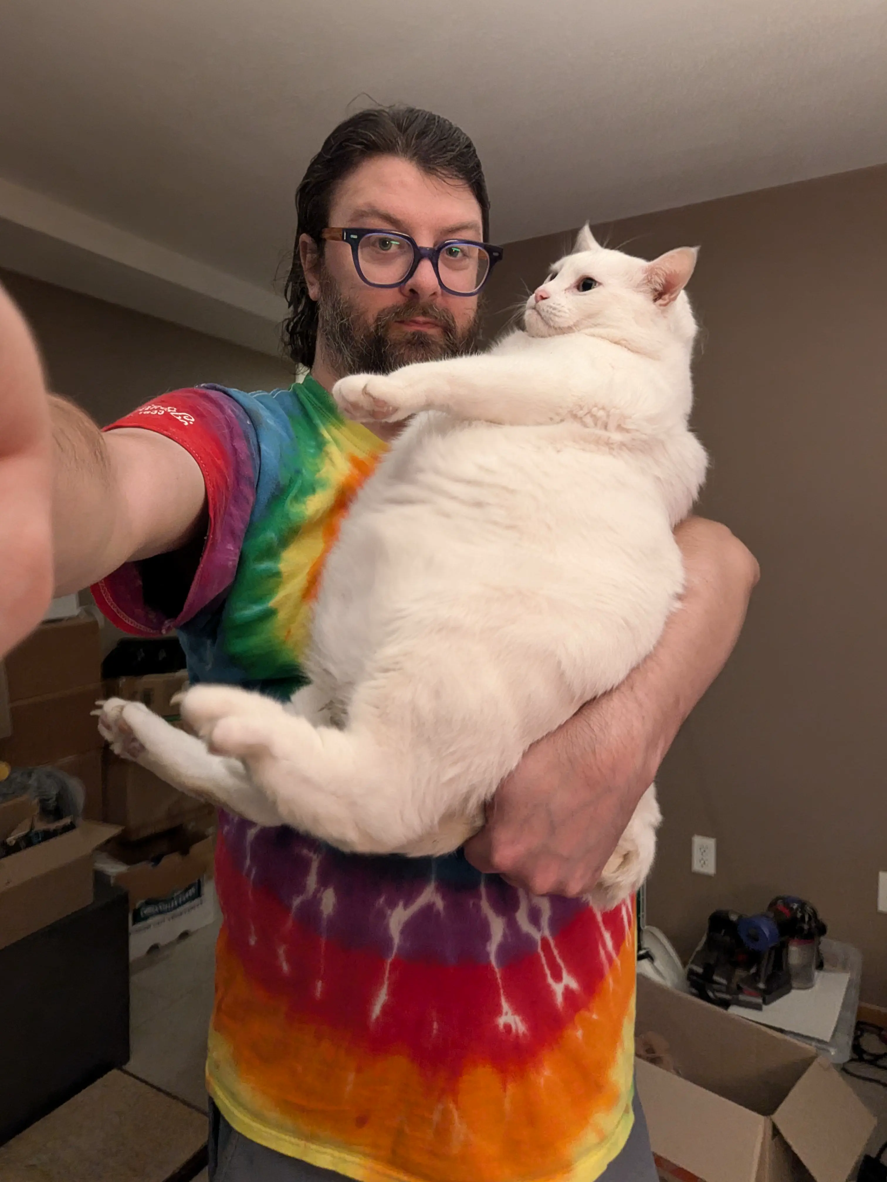 18 Enormous Absolute Units That Defy Expectations! đŸ 35 Absolute Units of a cat