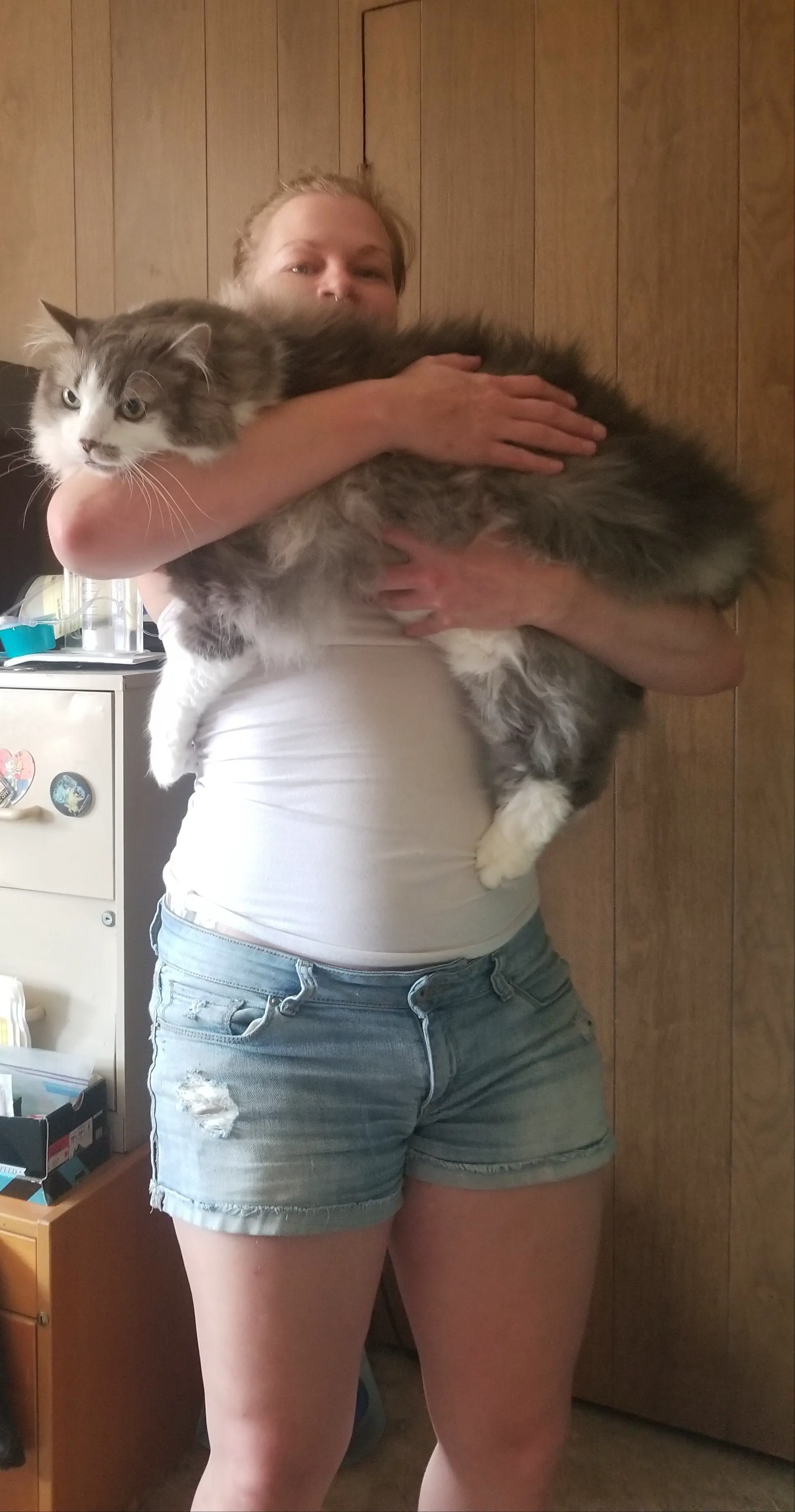 Absolute Units of a Cat... His Name is Skitz... 