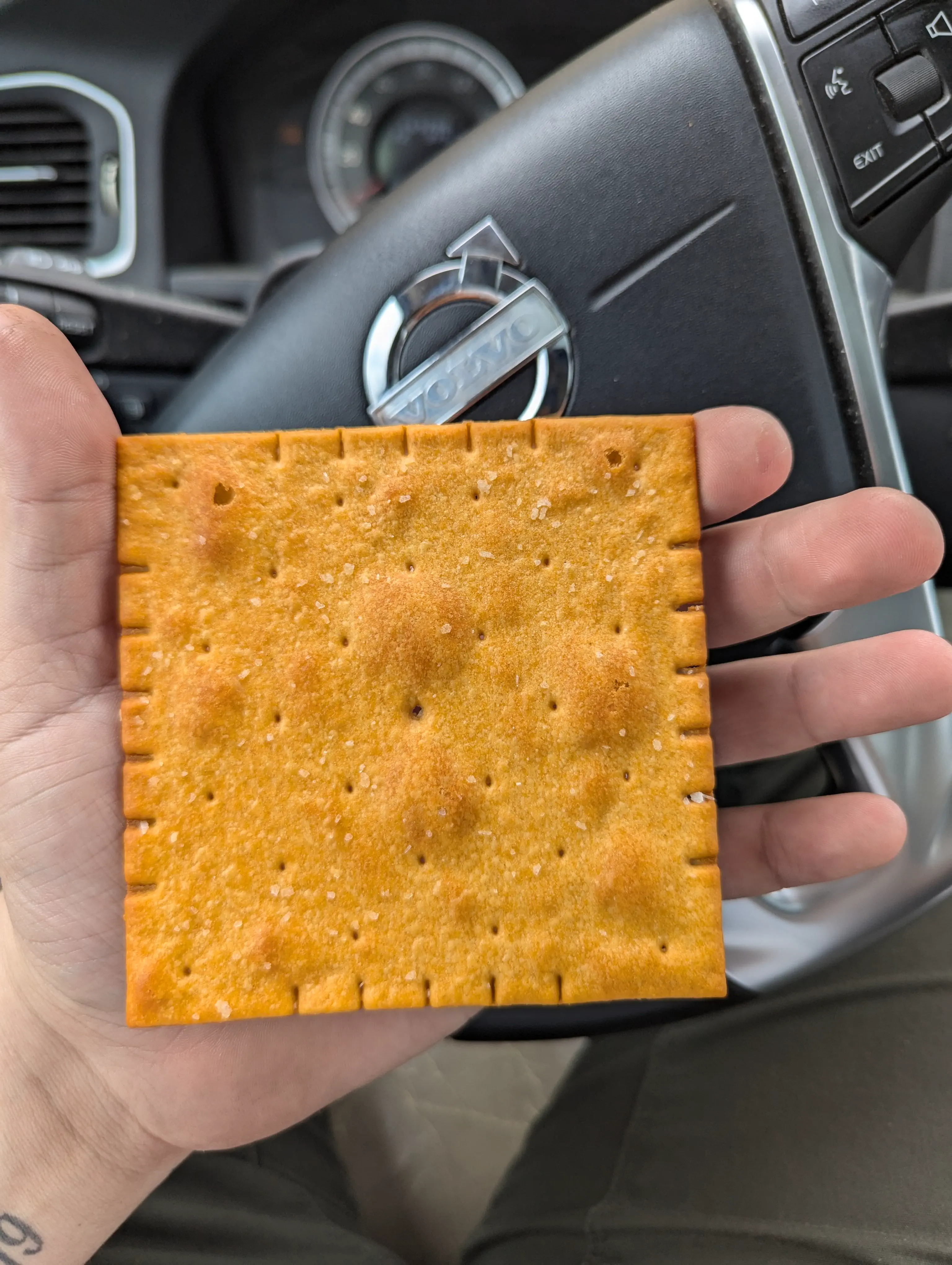 19 Mammoth Marvels That Are Too Big to Ignore! đ 34 Absolute Units of a Cheez-It cracker.