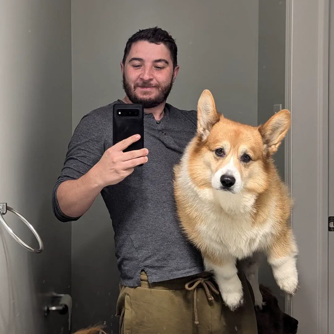 18 Enormous Absolute Units That Defy Expectations! đŸ 28 Absolute Units of a corgi