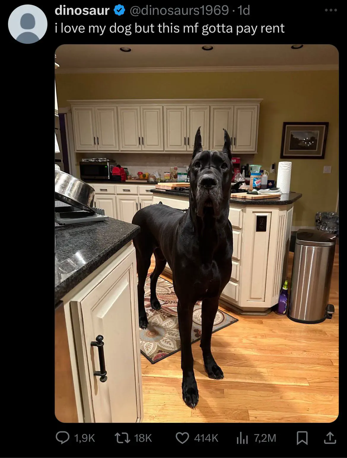 18 Enormous Absolute Units That Defy Expectations! đŸ 33 Absolute Units of a dog