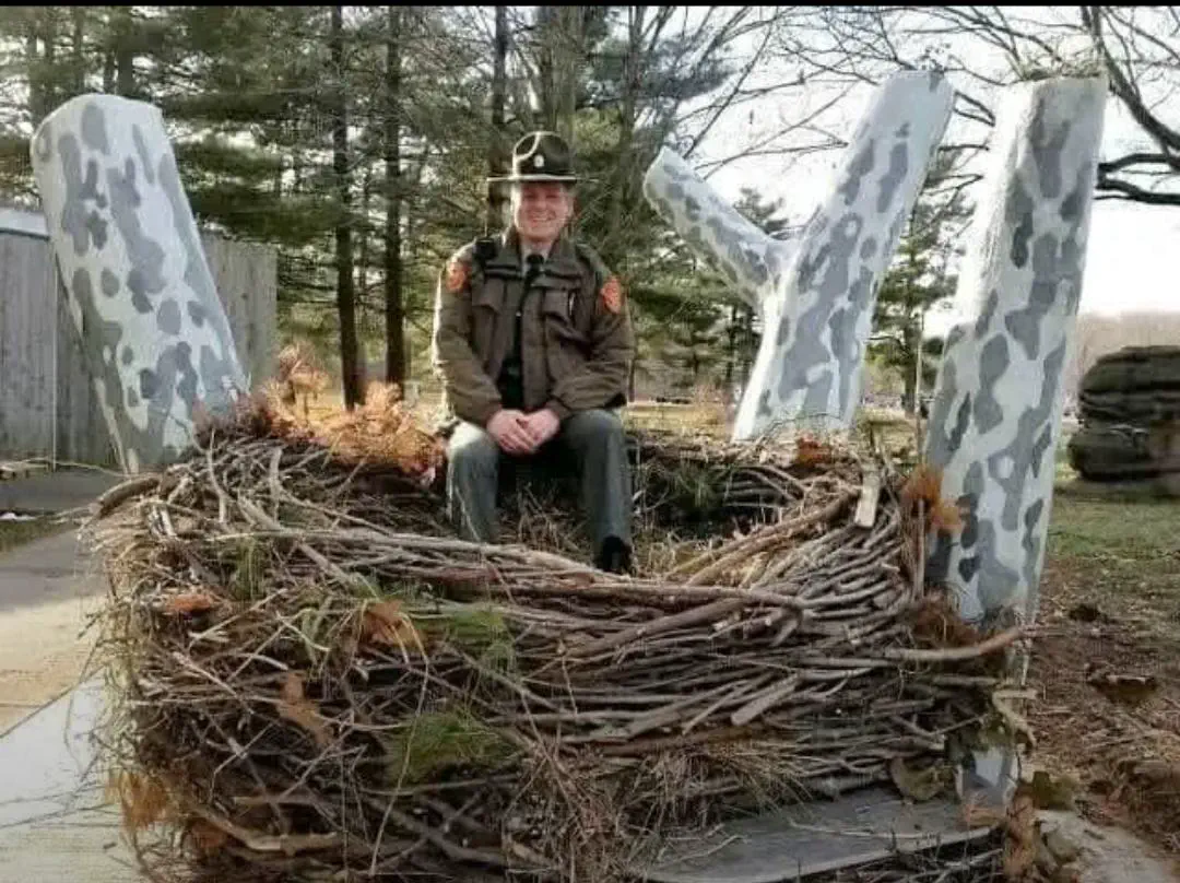 17 Wild Oddities That Redefine 'Massive'! đ 23 Absolute Units of a eagle nest