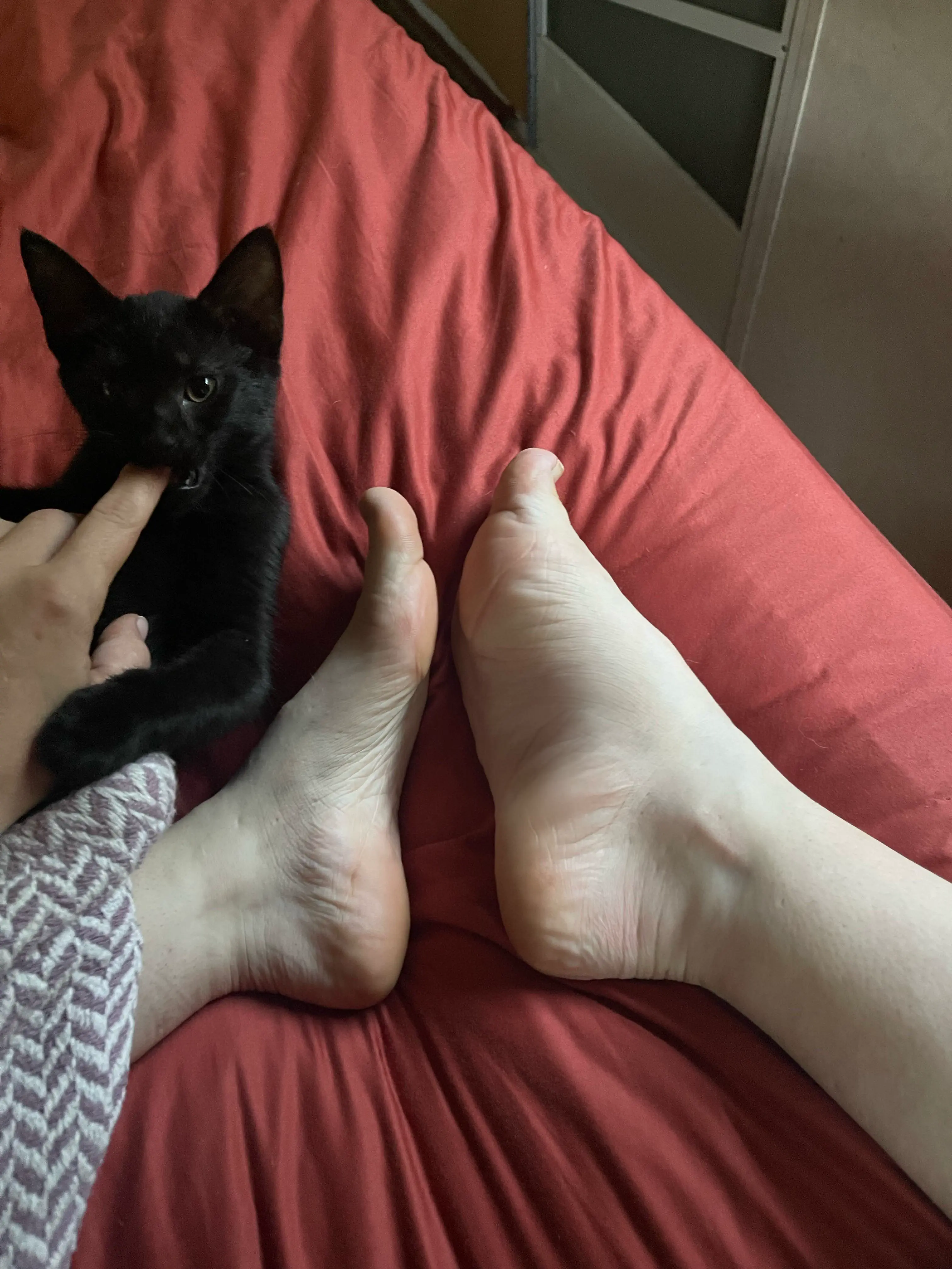 22 Absolute Beasts That Will Leave You in Awe! đŸđ„ 29 Absolute Units of a foot