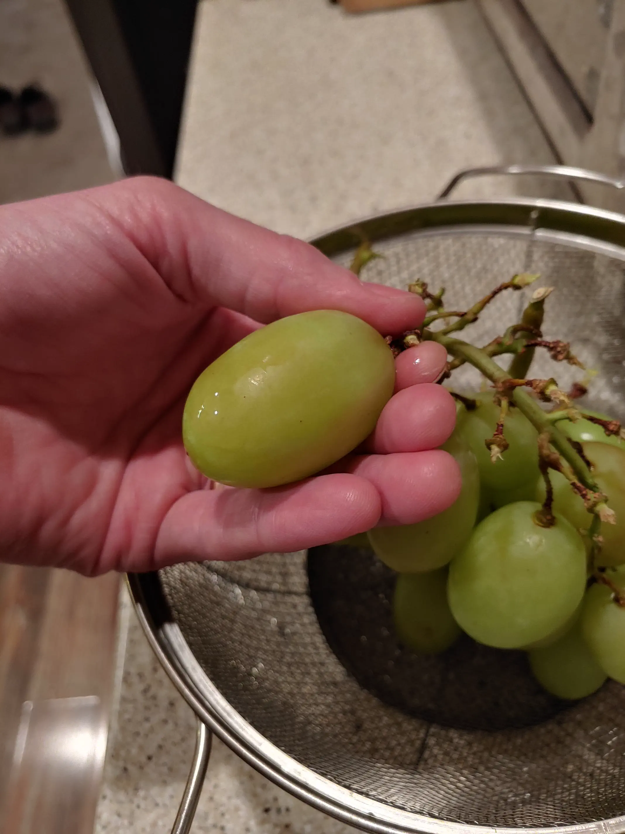 22 Mind-Blowing Absolute Units You Won't Believe Exist! 🦙🤯 40 Absolute Units of a grape