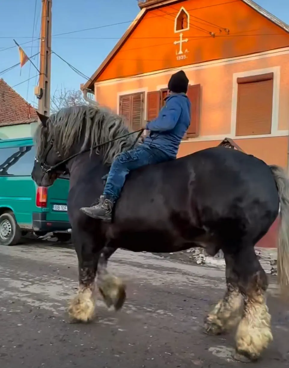 16 Mammoth Oddities You Need to See Now! đđŸ 27 Absolute Units of a horse