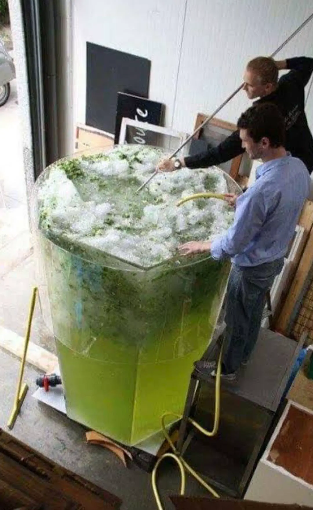 22 Absolute Beasts That Will Leave You in Awe! đŸđ„ 32 Absolute Units of a Larger Mojito