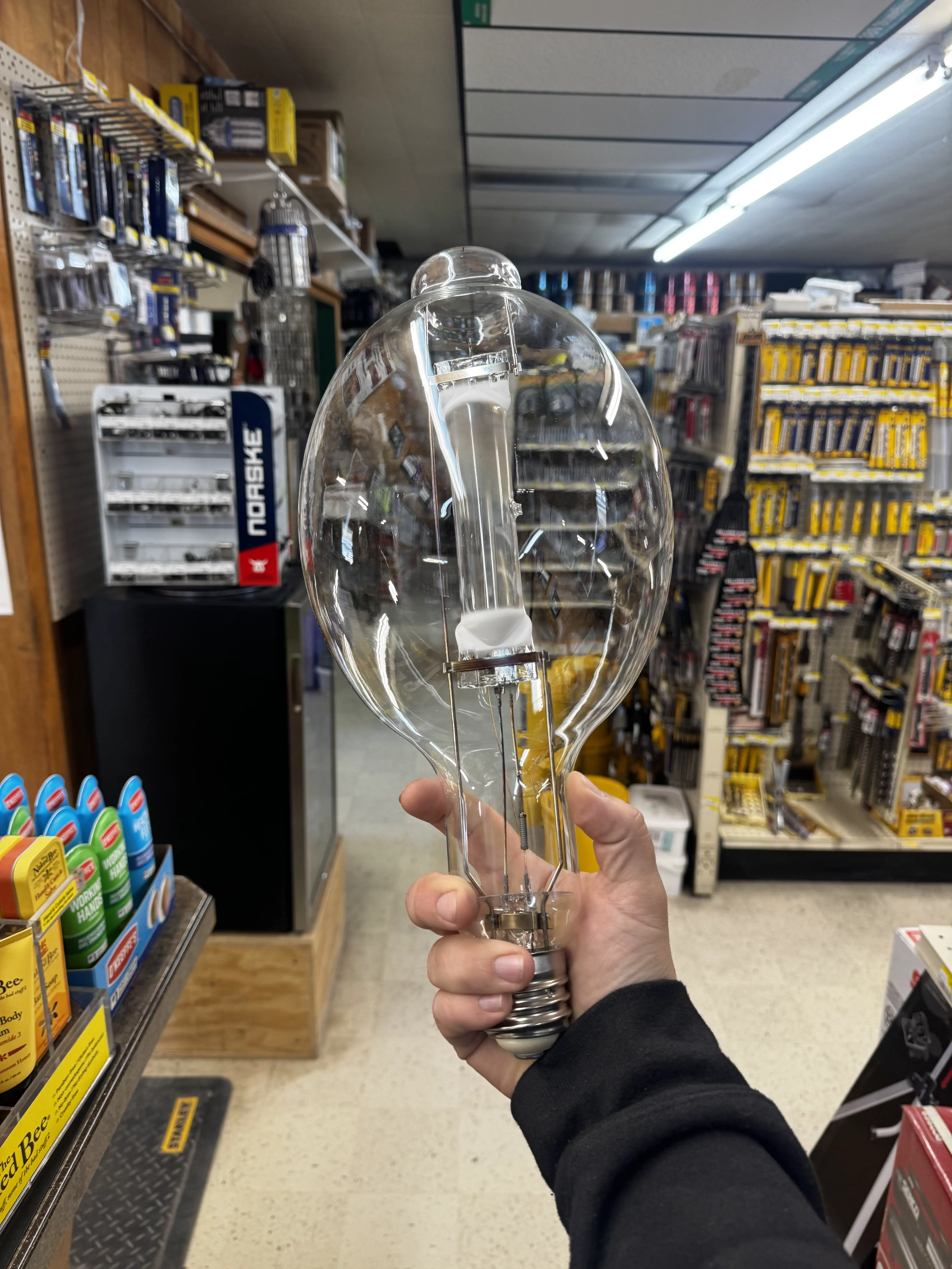 22 Massive Beasts That Will Leave You Stunned! đđ„ 40 Absolute Units of a lightbulb